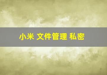 小米 文件管理 私密